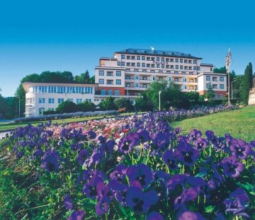 Lázeňské domy – Fotogalerie hotelu Palace****