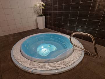 phoca_thumb_l_vega_wellness_01_3