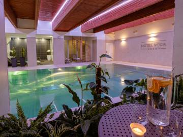 phoca_thumb_l_vega_wellness_01_6